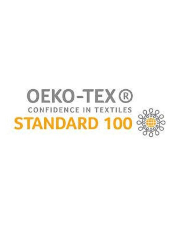 MaskTranp-Esp2-W-1800×2300