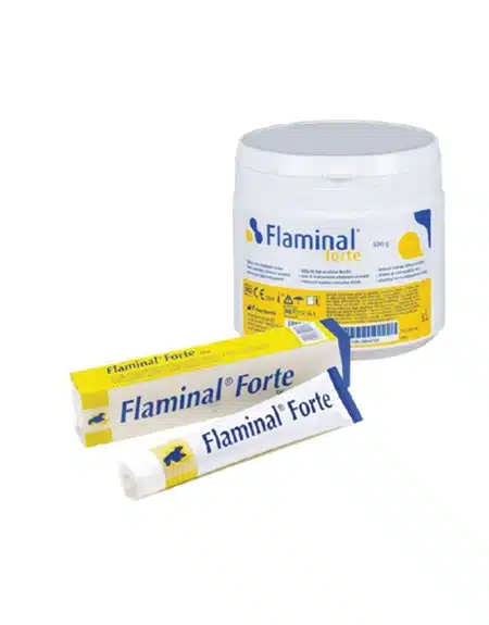 Crema y envase de flaminal forte gel